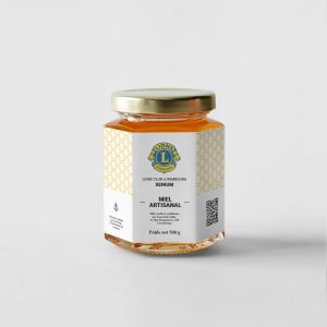 Miel Printanier - 500g